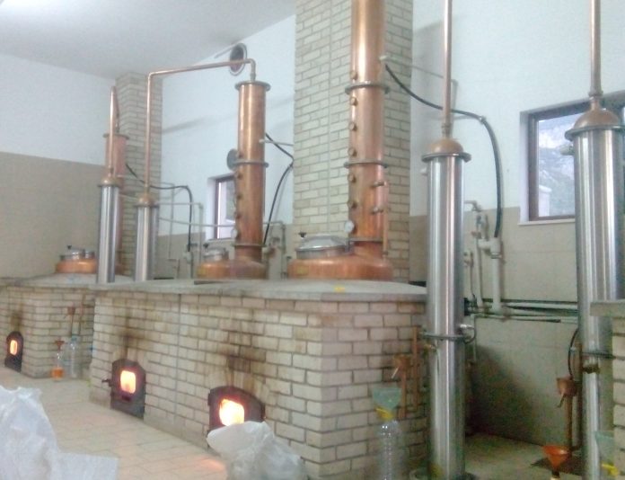 ракия